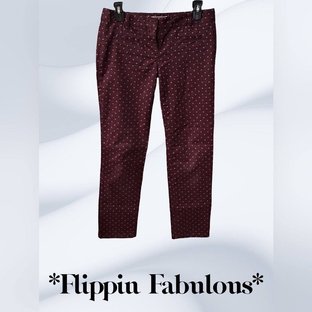 Loft ~straight Polka Dot pants size 2p